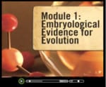 Evolution - Watch this short video clip